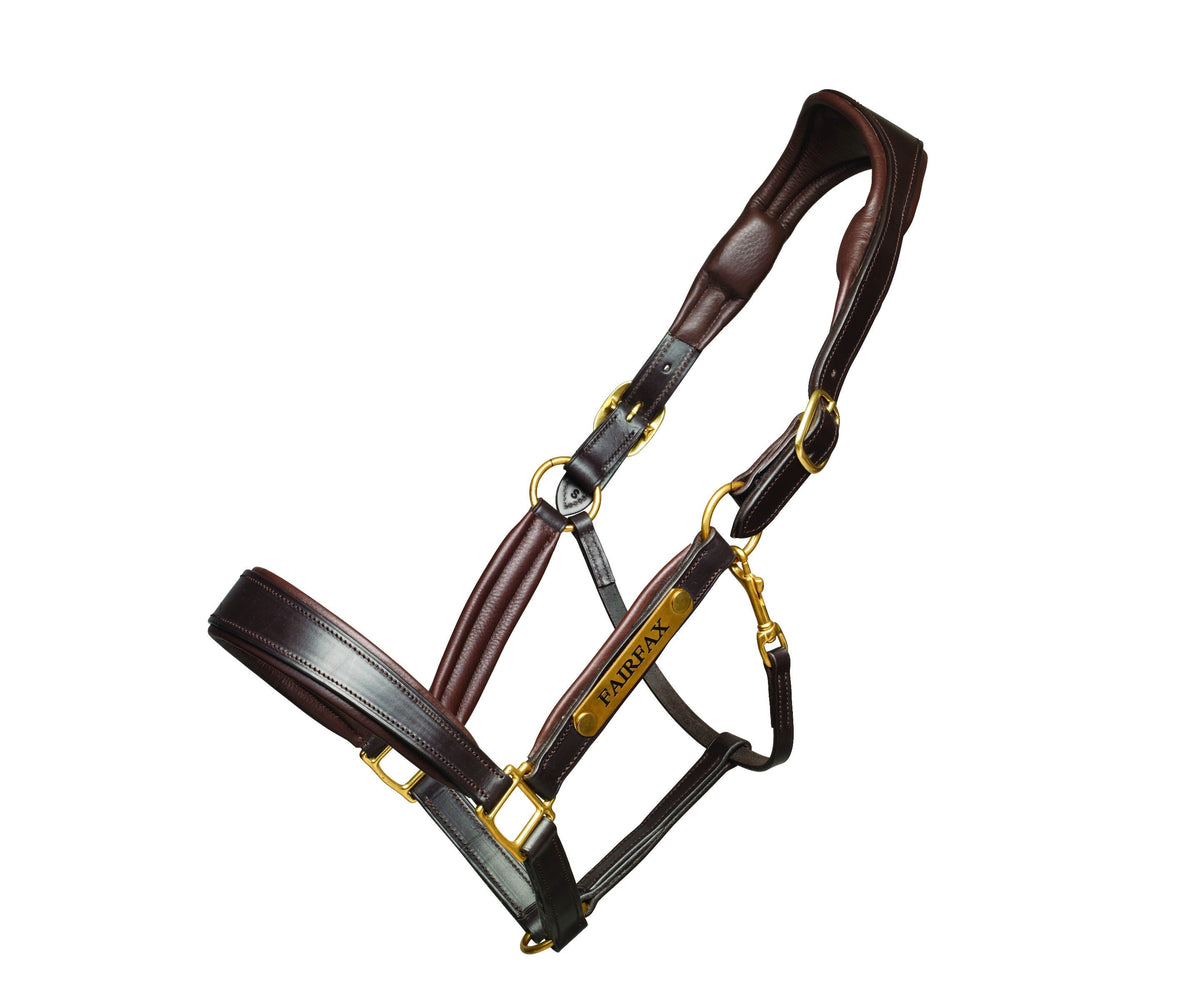 Fairfax Rio Headcollar