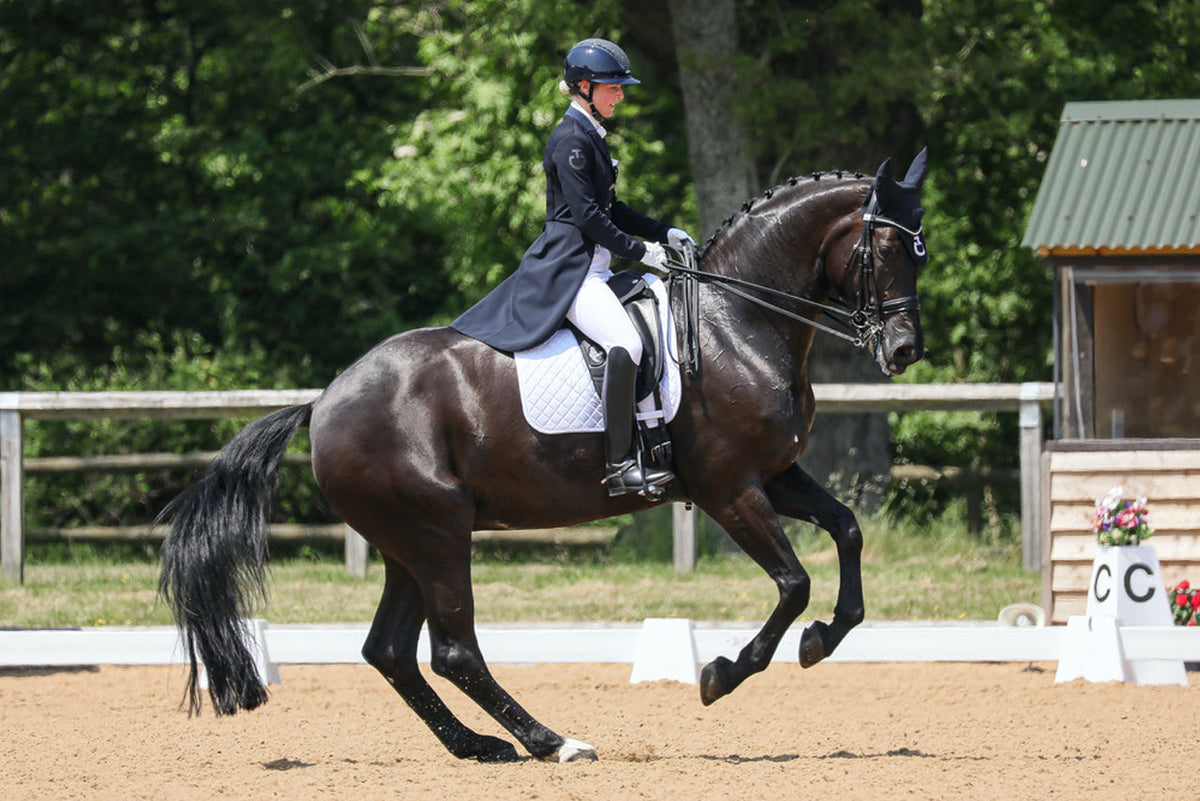 Laura Tomlinson riding Full Moon using a Fairfax World Class Monoflap Dressage Saddle, Fairfax Girth and Bridle 