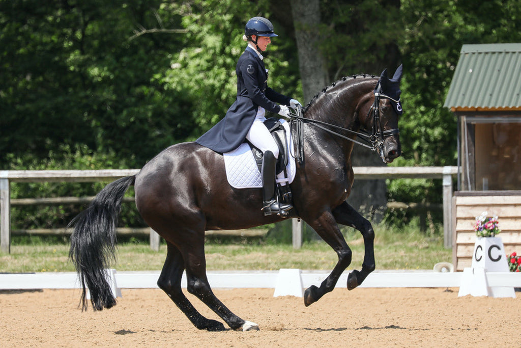 Laura Tomlinson riding Full Moon using a Fairfax World Class Monoflap Dressage Saddle, Fairfax Girth and Bridle 